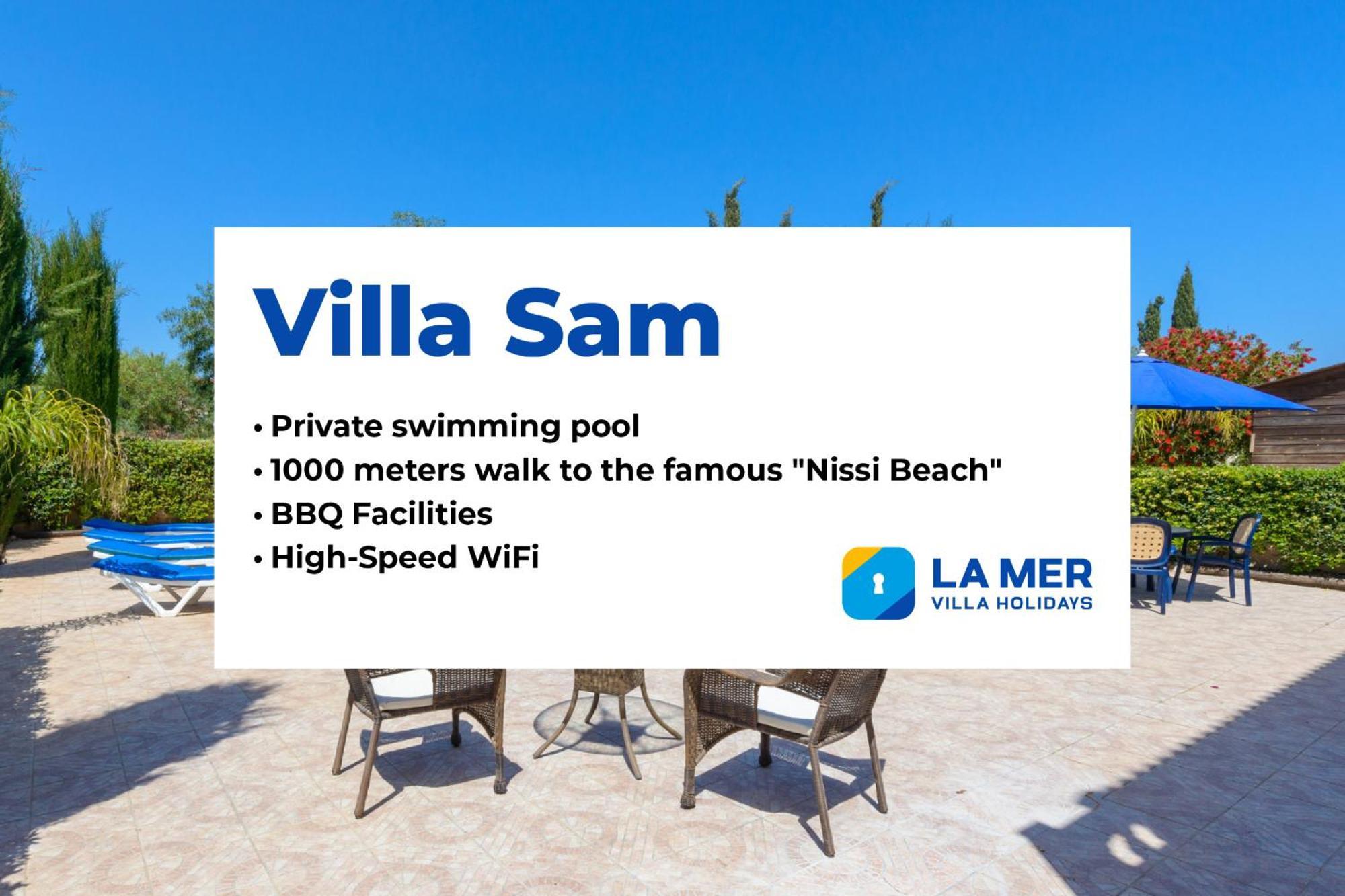 Villa Sam Agia Napa